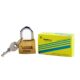 VIKING PADLOCK 25MM BRASS