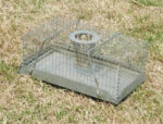 MOUSE TRAP TOP 18.2X11X6.5CM TOP HOLE CH635-S