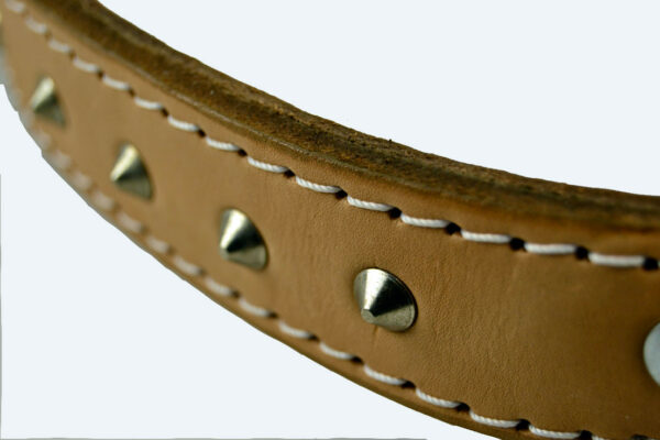 COLLARS PITBULL LEATHER SIZE 28 34MM X 72CM