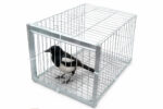 BIRD TRAP DOOR LOFT CAGE