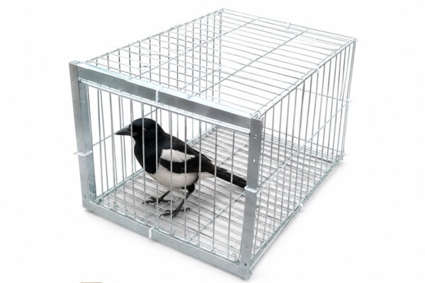 BIRD TRAP DOOR LOFT CAGE
