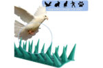 BIRD REPELLENT SPIKE PLASTIC 10PC X 36CM - Image 2