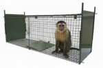 ANIMAL CAGE TRAP COLLAPSIBLE 160 X 55 X 50CM - Image 3